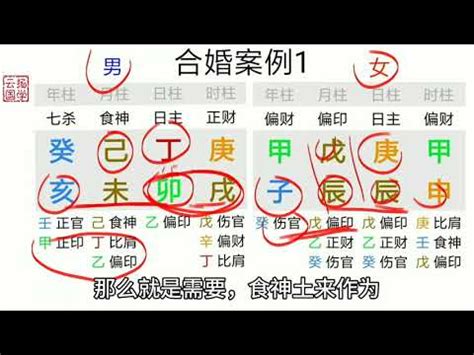 八字情絲怎麼看|八字新手教學 